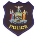 Albany County Constable's Office, New York