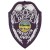 Oberlin Police Department, OH