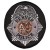 Denver Police Department, CO
