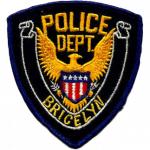 Bricelyn Police Department, MN