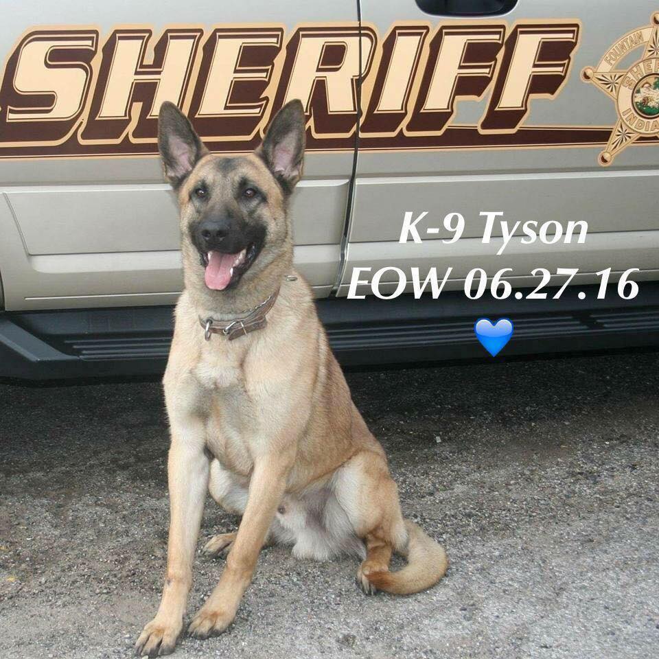 K9 Tyson | Fountain County Sheriff's Office, Indiana
