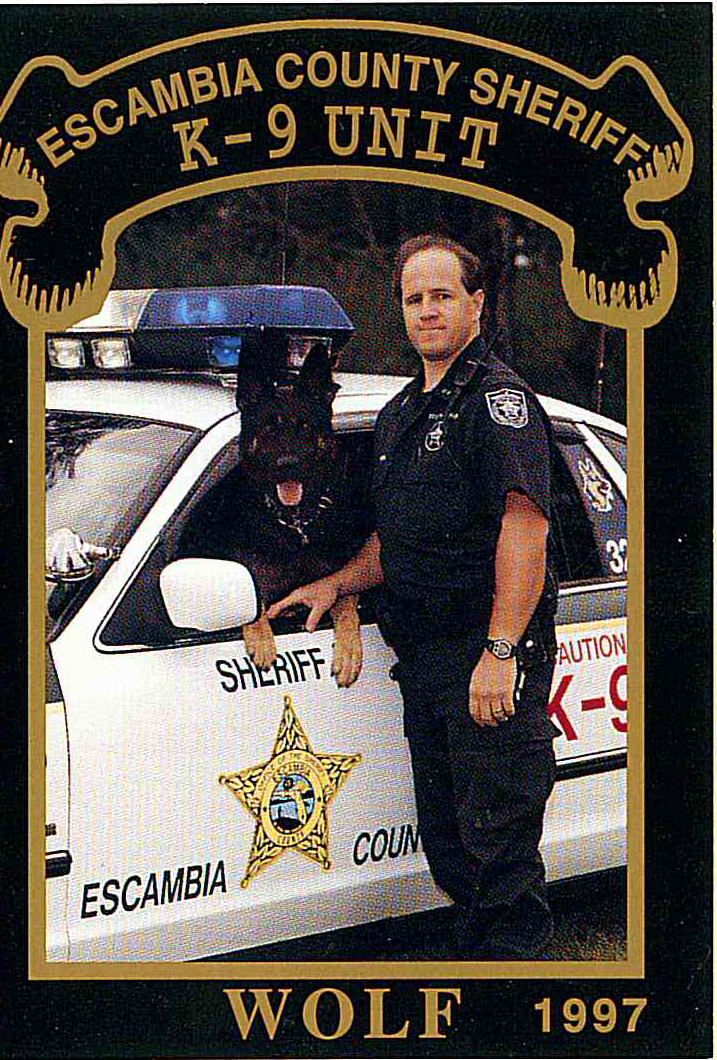 K9 Wolf | Escambia County Sheriff's Office, Florida