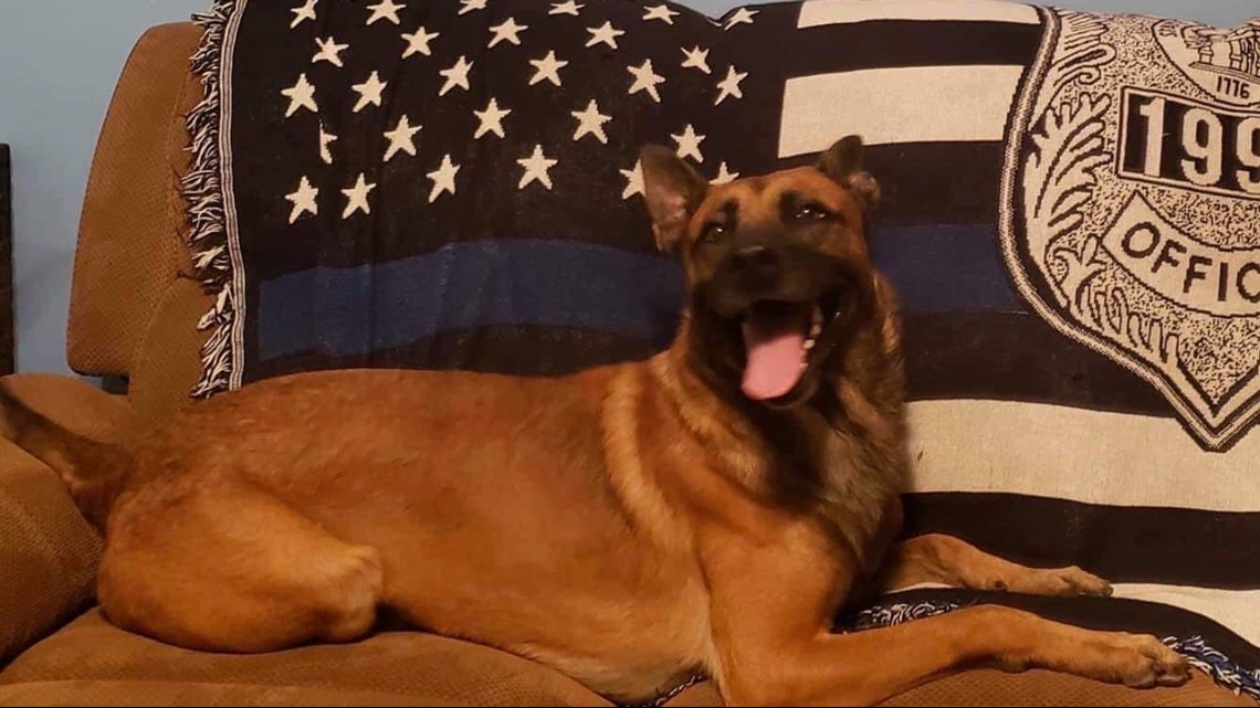 K9 Thorr | Henry County Police Department, Georgia