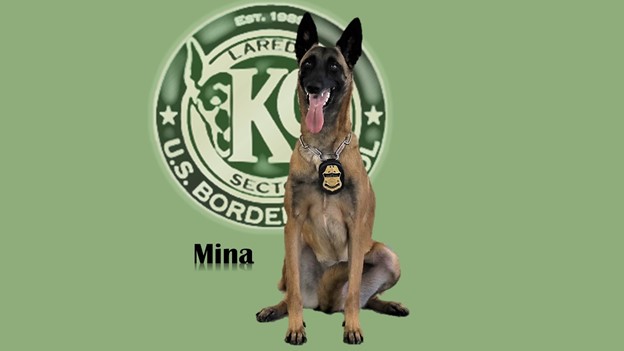 K9 Mina | United States Department of Homeland Security - Customs and Border Protection - United States Border Patrol, U.S. Government