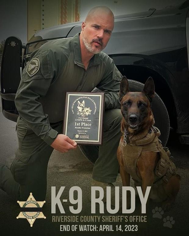 K9 Rudy | Riverside County Sheriff's Department, California