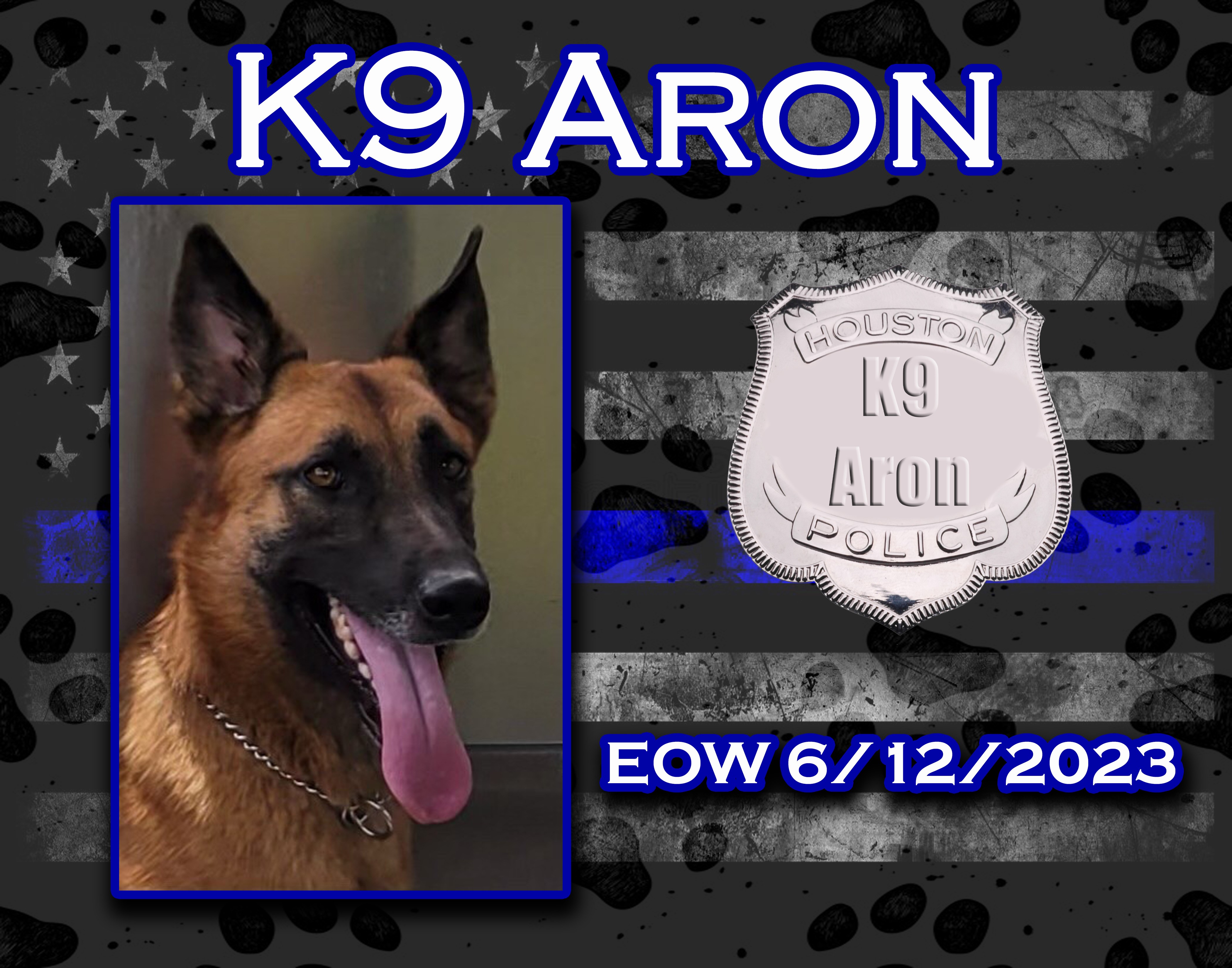 K9 Aron | Houston Police Department, Texas
