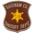 Saginaw County Sheriff's Department, MI