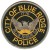 Blue Ridge Police Department, Georgia