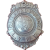 Lehigh Valley Railroad Police Department, Railroad Police