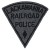 Lackawanna Railroad Police Department, Railroad Police