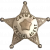 Chicago and Illinois Midland Railroad Police Department, Railroad Police