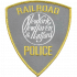 New York, New Haven and Hartford Railroad Police Department, Railroad Police
